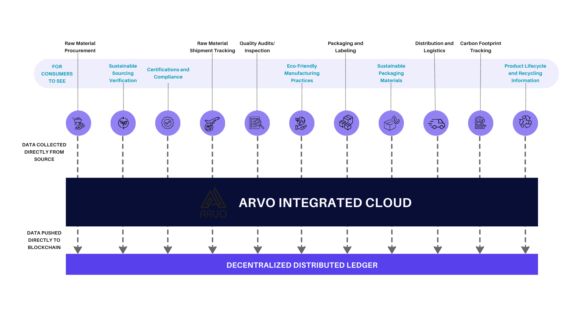ARVO AIC Workflow
