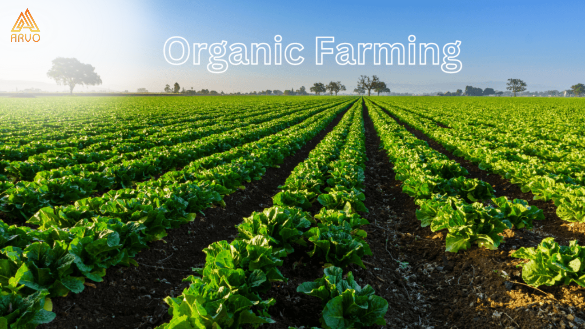 Organic Farming